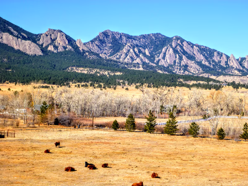 Denver Private Tour - Explore the Colorado Rockies