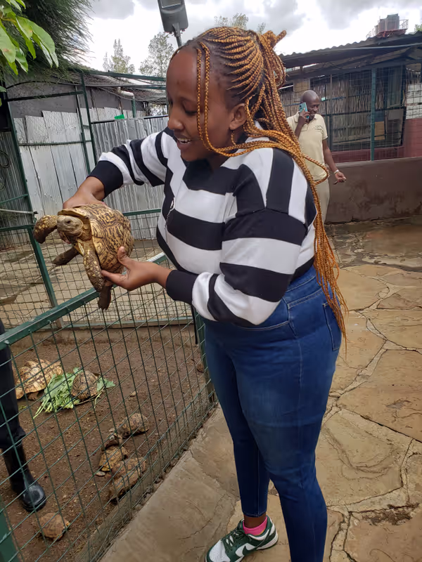 Nairobi Private Tour - 