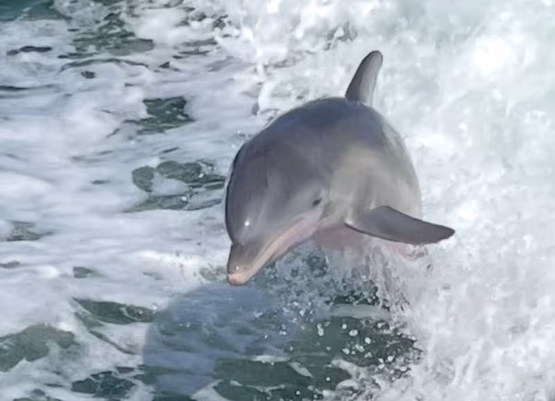 Florida Private Tour - 