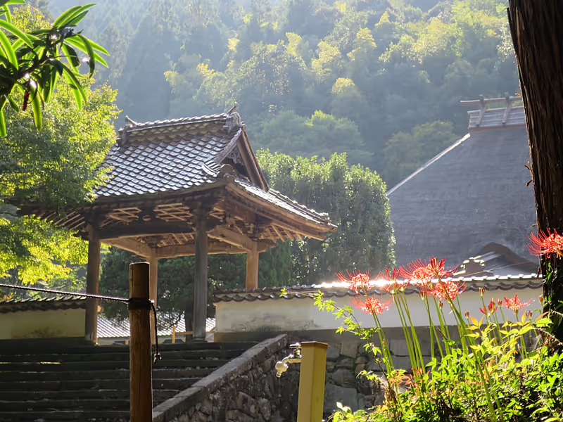 Shimane Private Tour - Yomeiji Temple