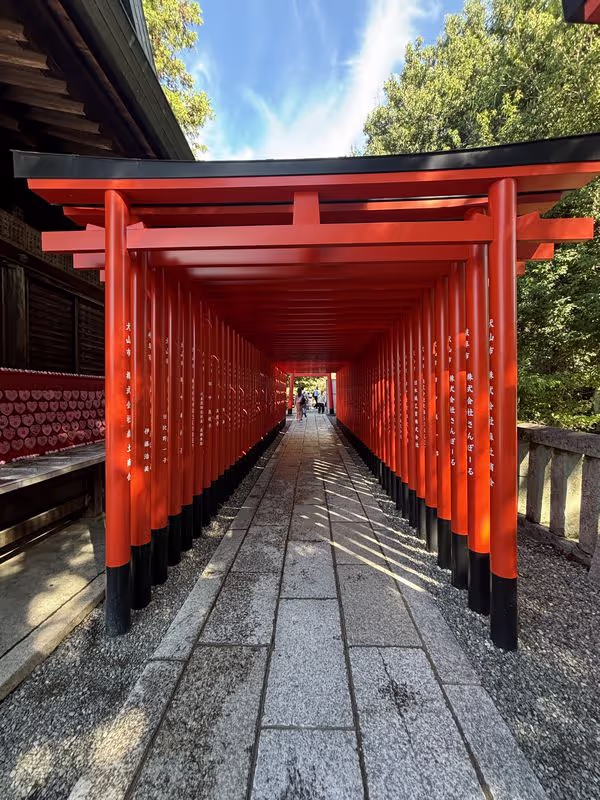 Aichi Private Tour - Not Fushimi inari shrine but here is Inuyama castle (Aichi)