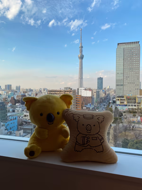 Kanagawa Private Tour - Im Koala‘s March Zimmer mit dem Skytree Blick