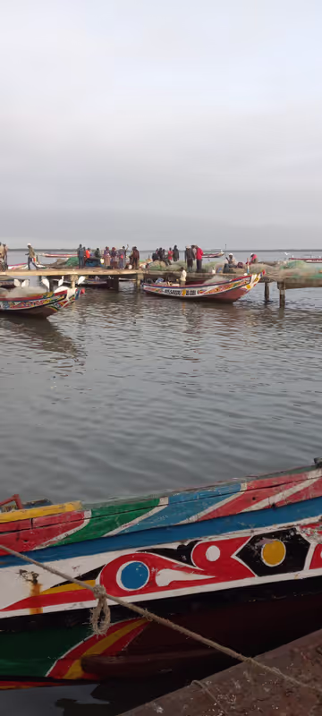 Dakar Private Tour - 