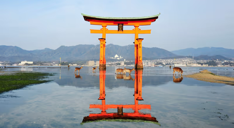 Hiroshima Private Tour - 
