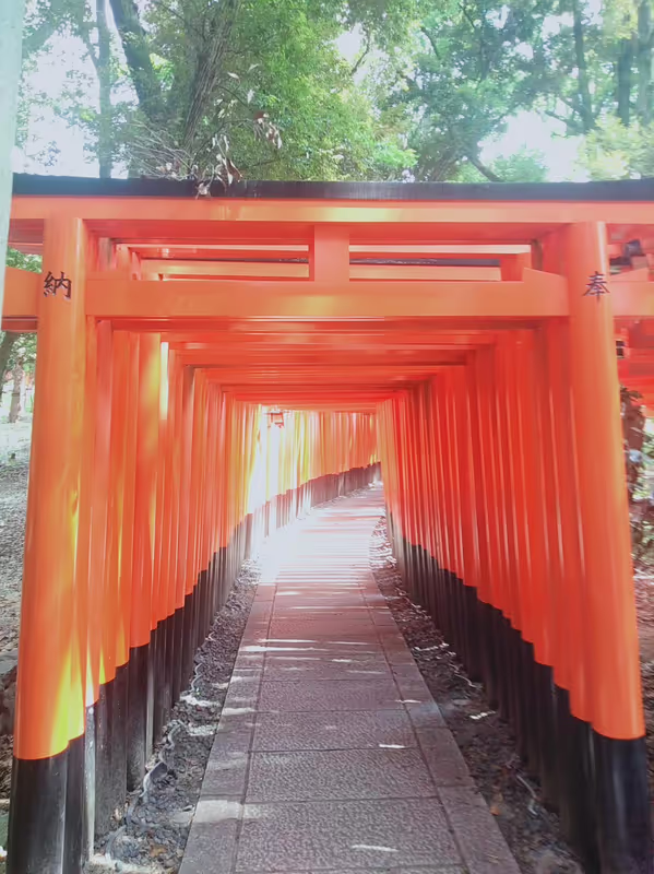 Kyoto Private Tour - 