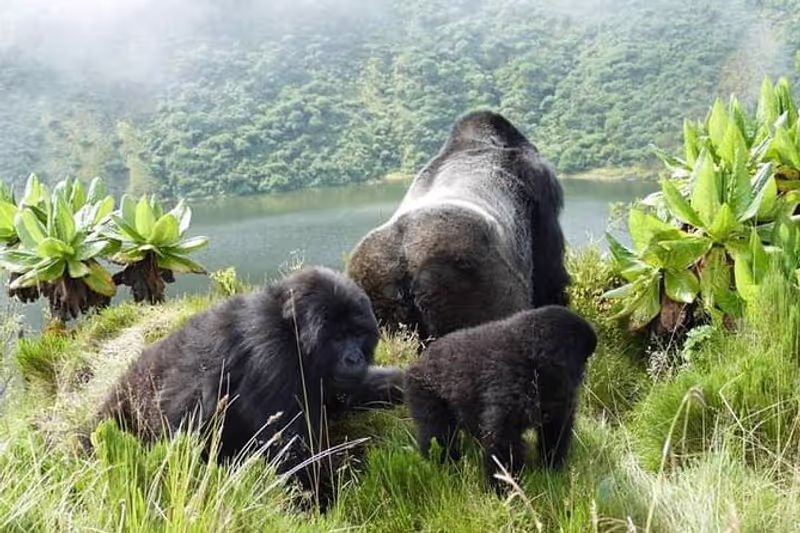 Kigali Private Tour - 