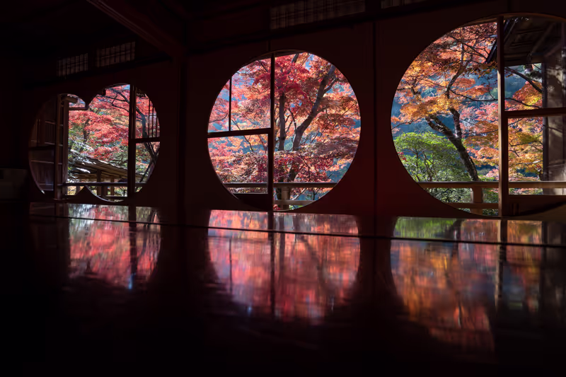 Kyoto Private Tour - My favorite garden in the area of Arashiyama bamboo forest.