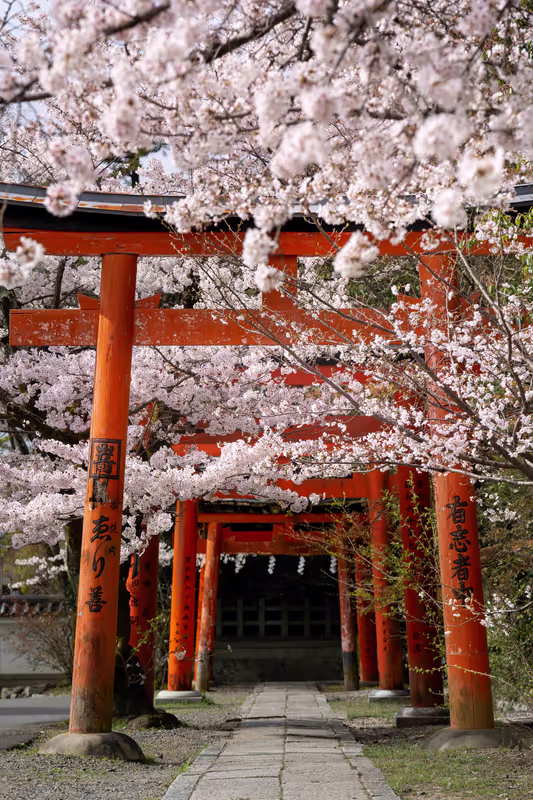 Kyoto Private Tour -  I also enjoy taking landscape photos in Kyoto.