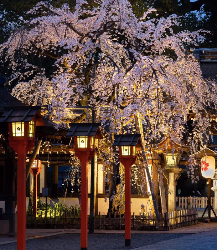 Kyoto Private Tour - I also love taking landscape photos.