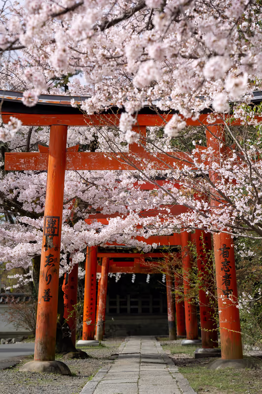 Kyoto Private Tour - I also love taking landscape photos.