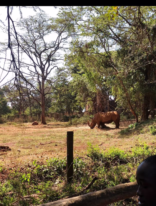 Nairobi Private Tour - 