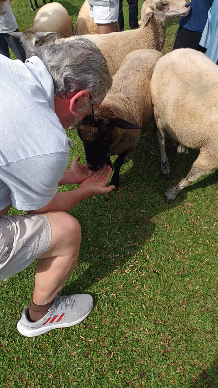 Sao Paulo Private Tour - SESC Rural - Lages - Santa Catarina