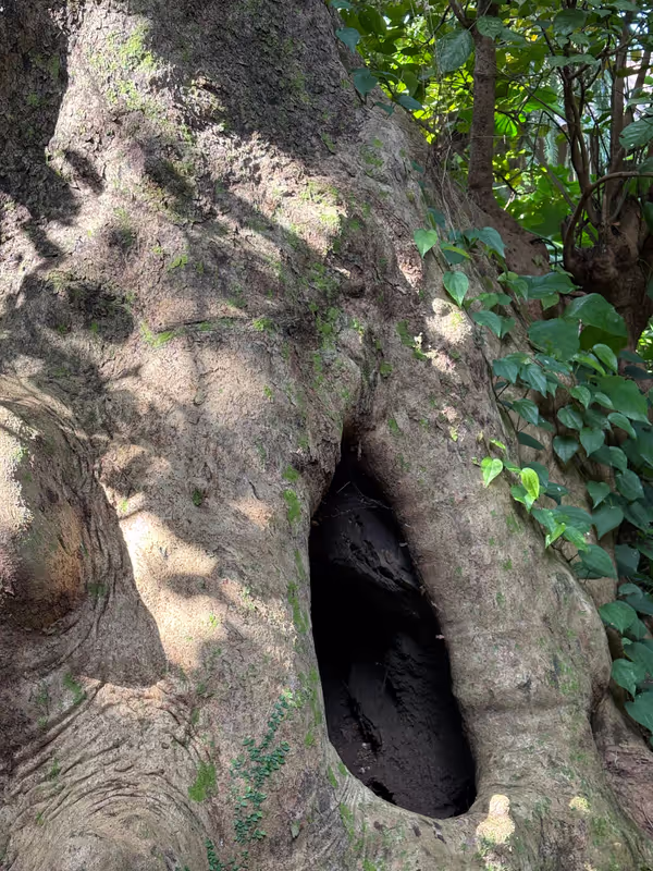 Okinawa Main Island Private Tour - 