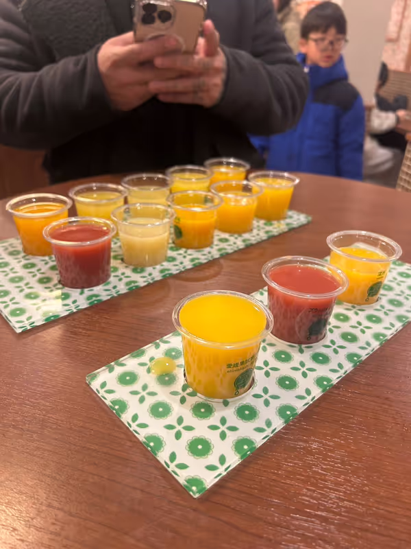 Ehime Private Tour - Orange juice tasting