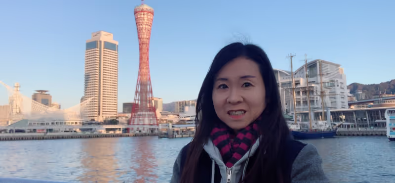 Hyogo Private Tour - Kobe Harbour-Land