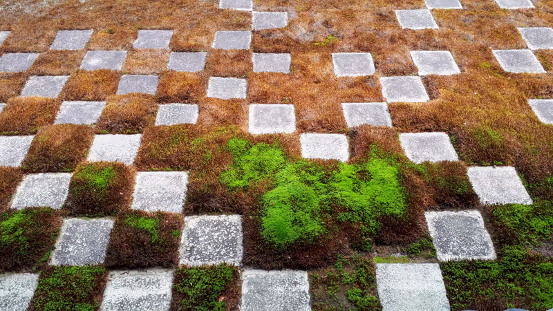 Kyoto Private Tour - 