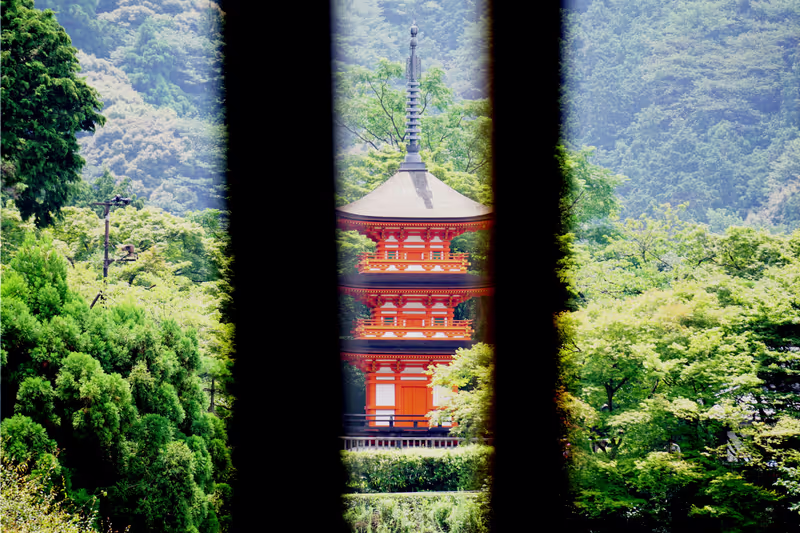 Kyoto Private Tour - 
