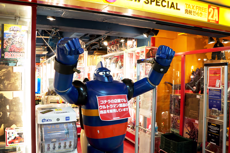 Tokyo Private Tour - 