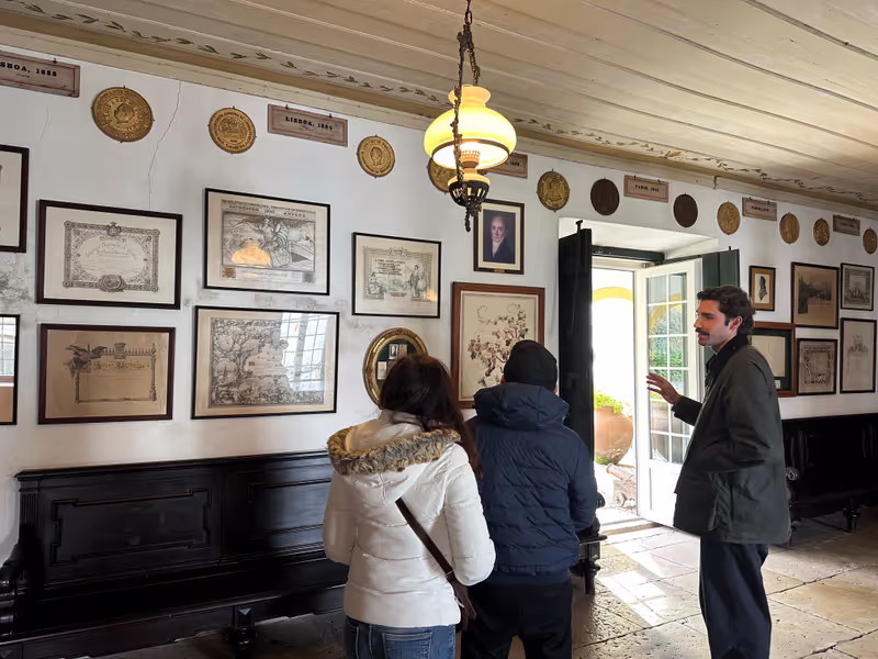 Lisbon Private Tour - JMF Visit