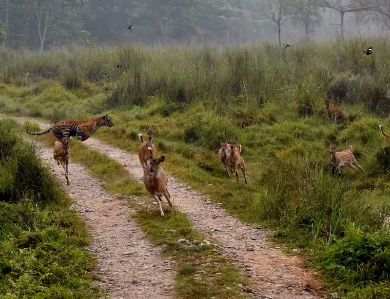 Narayani Private Tour - 