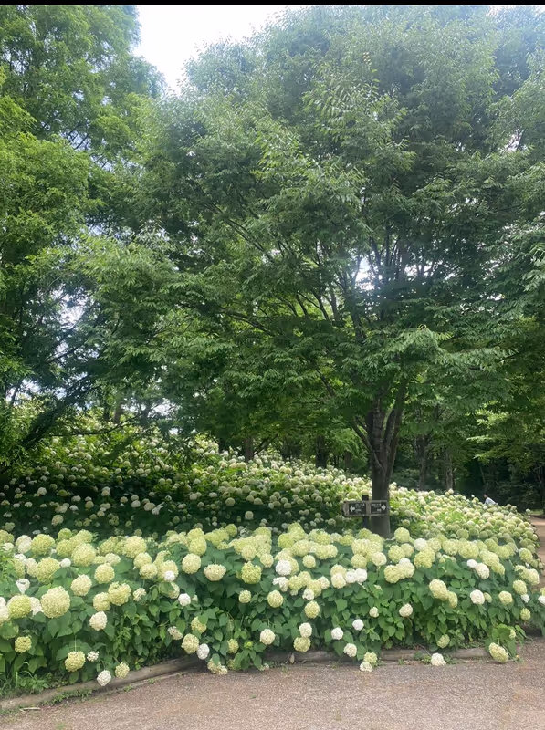 Hyogo Private Tour - 