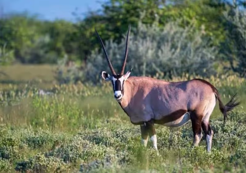 Morogoro Private Tour - 