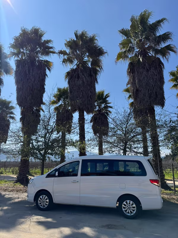 Region Metropolitana Private Tour - 