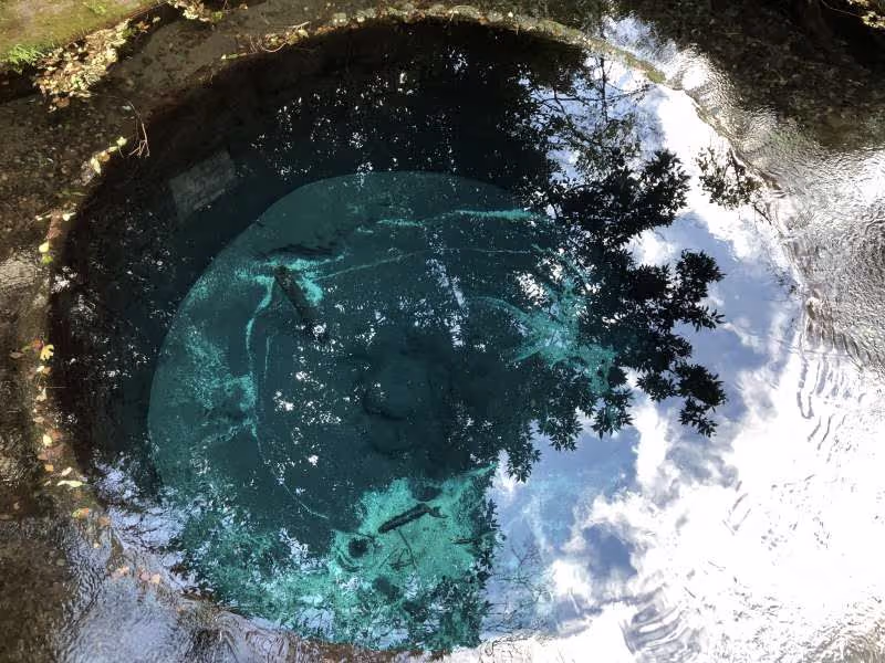 Yokohama Private Tour - The Kakita River, the Asia's Largest Natural Spring located in Shimizu Town, Shizuoka Prefecture!