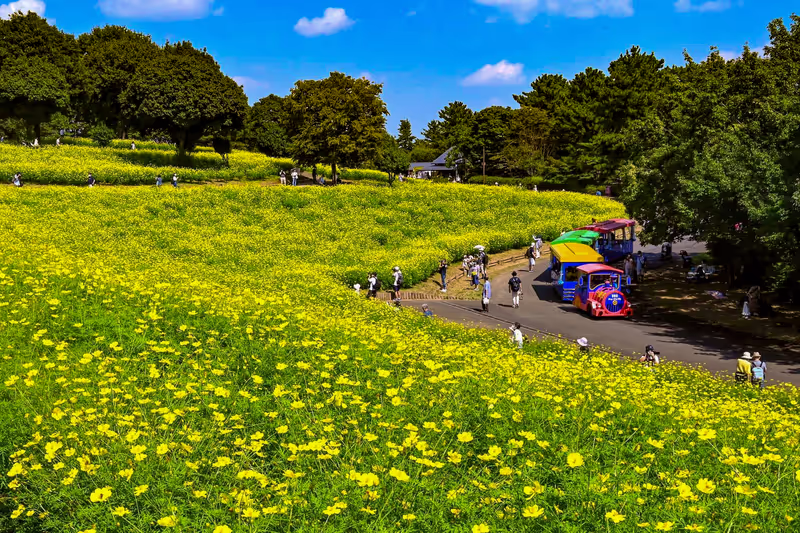 Kanagawa Private Tour - 