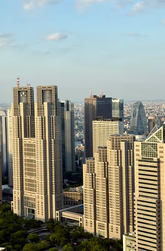 Chiba Private Tour - Rathaus Tokios in Shinjuku 