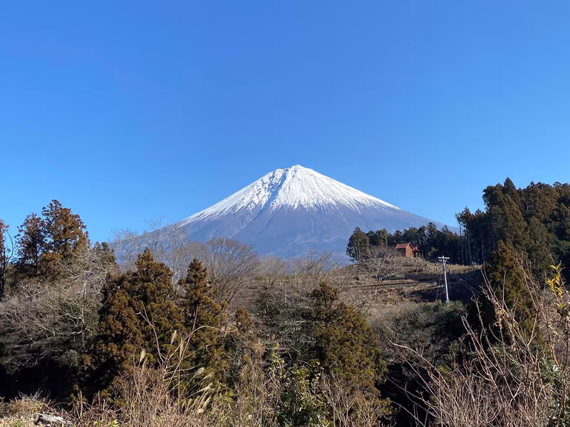Chiba Private Tour - Wunderschöner Fuji Berg 