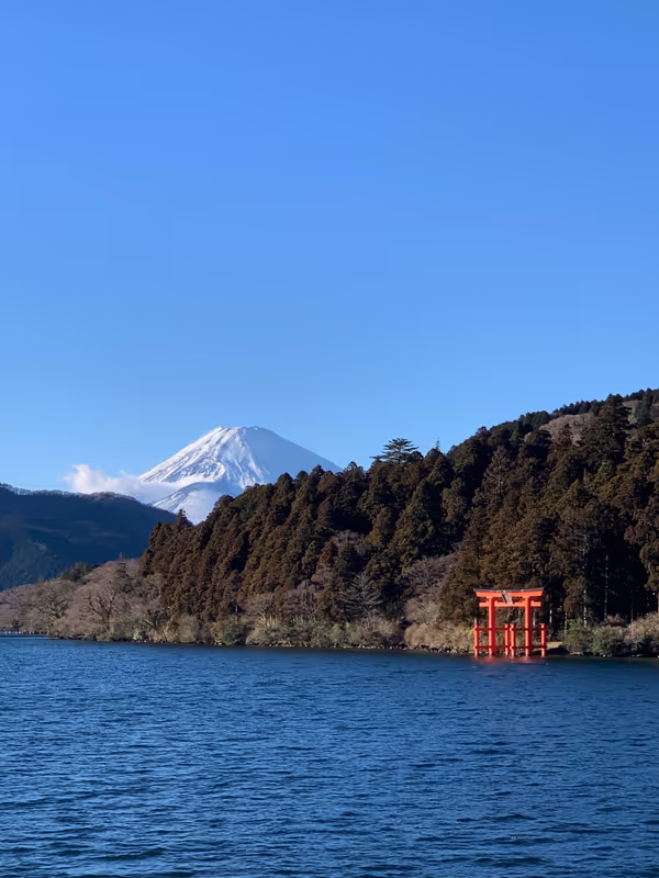 Chiba Private Tour - Mt. Fuji and Lake Ashi.