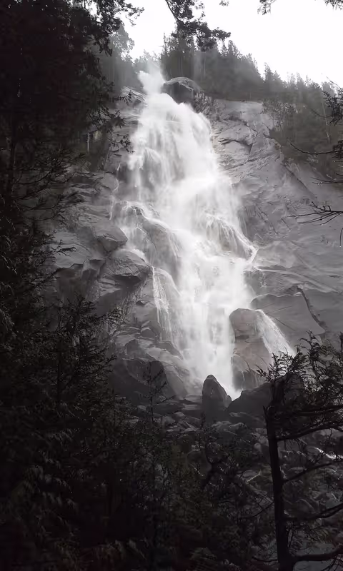 Vancouver Private Tour - Shannon Fall