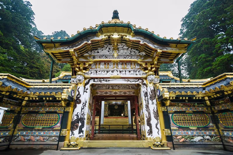 Tokyo Private Tour - Toshogu Shrine