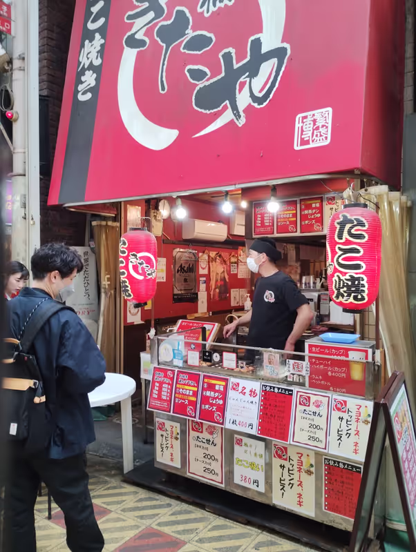 Osaka Private Tour - null