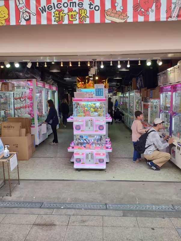 Osaka Private Tour - null