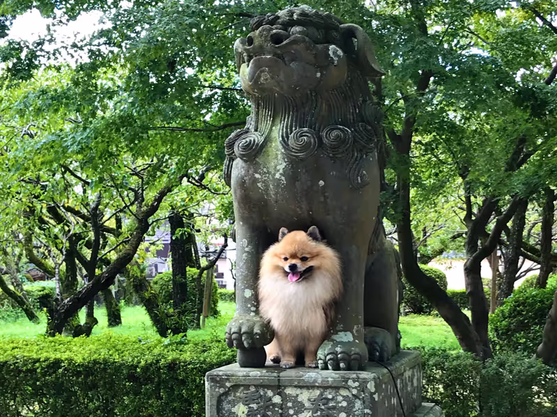 Fukuoka Private Tour - Guardian dogs.