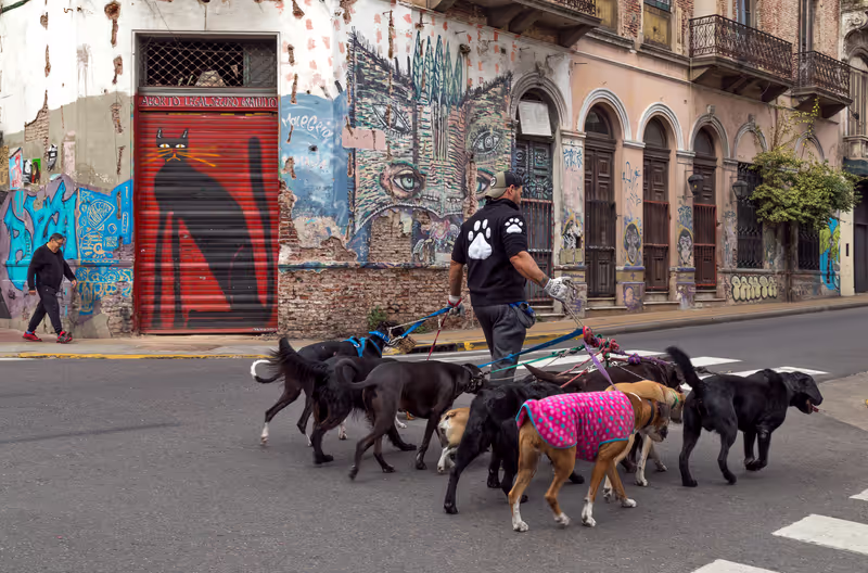 Buenos Aires Private Tour -  San Telmo, Buenos Aires.