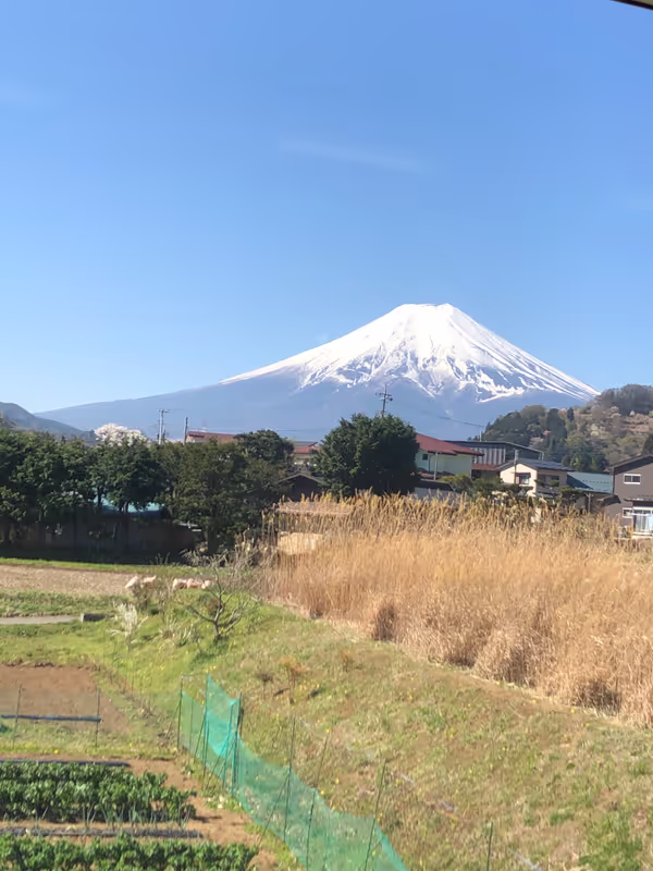 Tokyo Private Tour - Elegant view of Mount Fuji from the train window