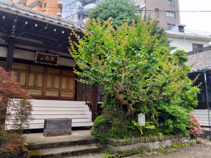 Tokyo Private Tour - Myoen-ji Temple (Fukurokuju & Jurojin)