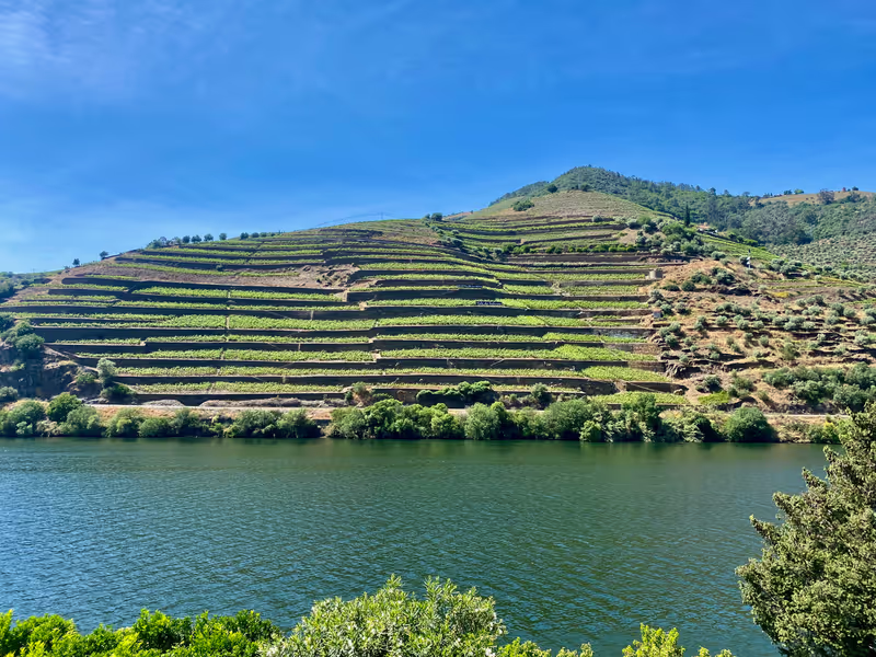 Porto Private Tour - Vineyards in the Douro Valley