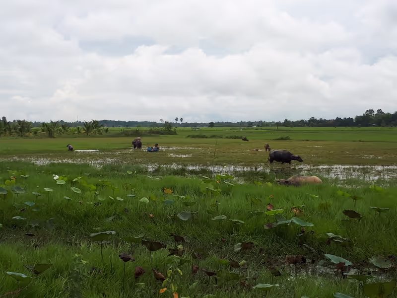 Siem Reap Private Tour - null