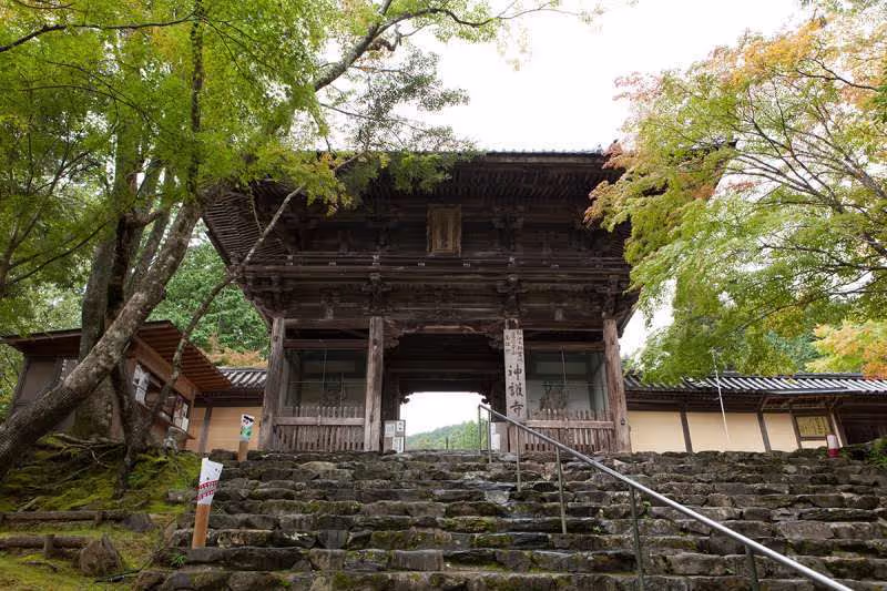 Kyoto Private Tour - The entrance gate to Jingo-ji Temple