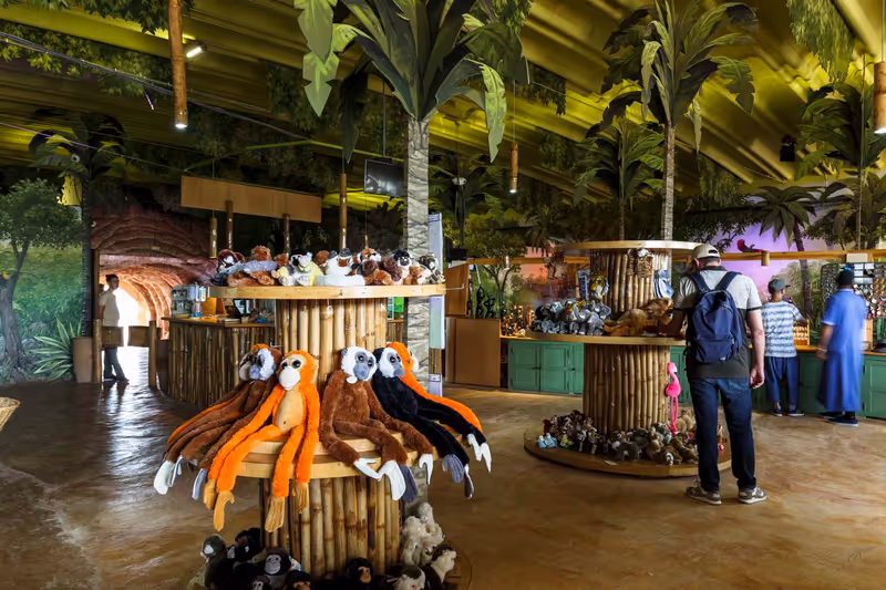 Agadir Private Tour - null