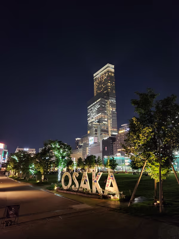 Osaka Private Tour - null