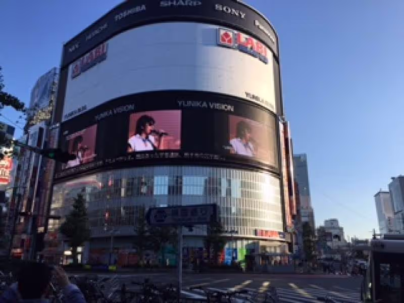 Tokyo Private Tour - Big screen