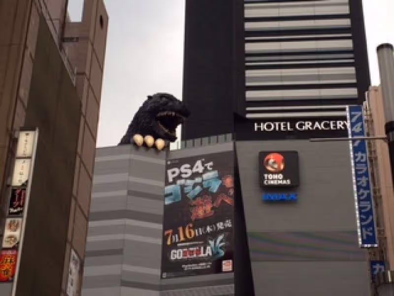 Tokyo Private Tour - Godzilla is waiting for you !