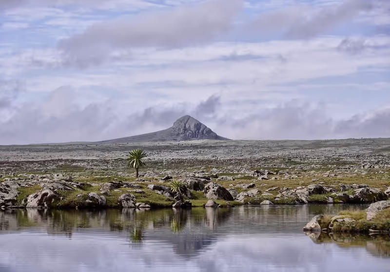 Addis Ababa Private Tour - Tulu Dimtu peak in Bale NP 4377masl, at a distance.