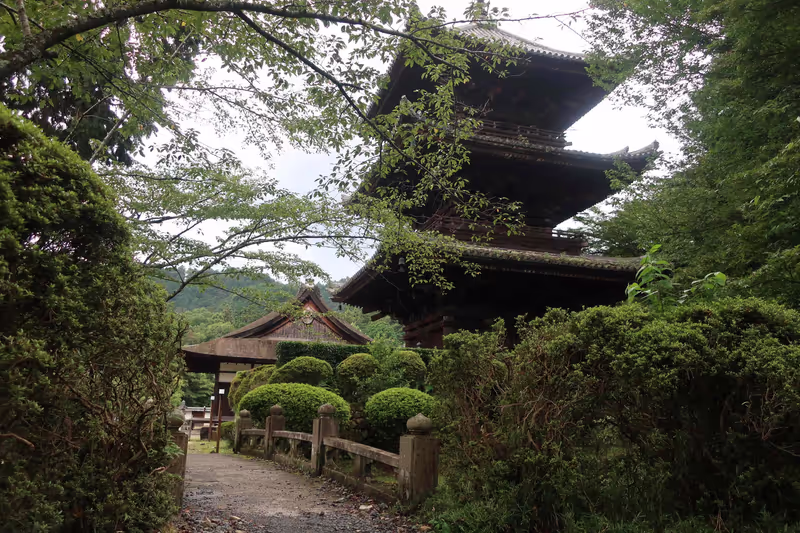 Kyoto Private Tour - Miidera Temple (Famous spot for filming period dramas)