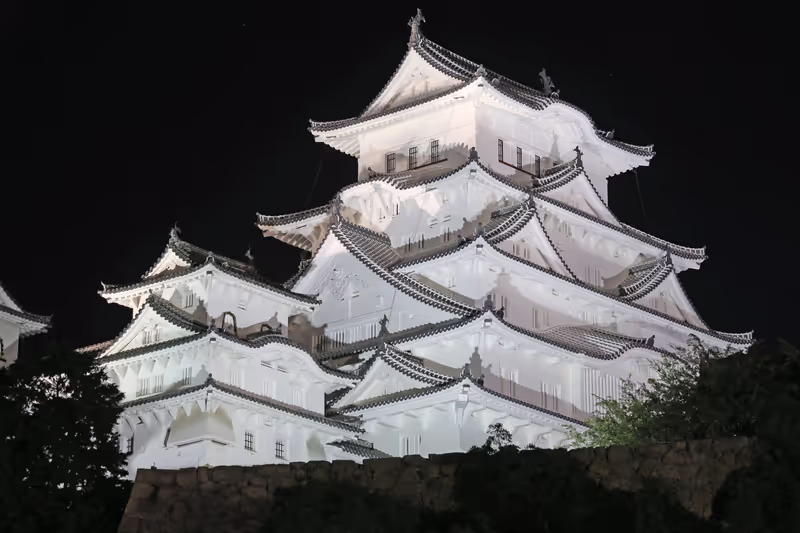Osaka Private Tour - Illuminated Himeji Castle